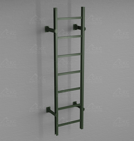 Лестница пожарная П1-1 800мм L-1,05м RAL 6020 темно-зеленый